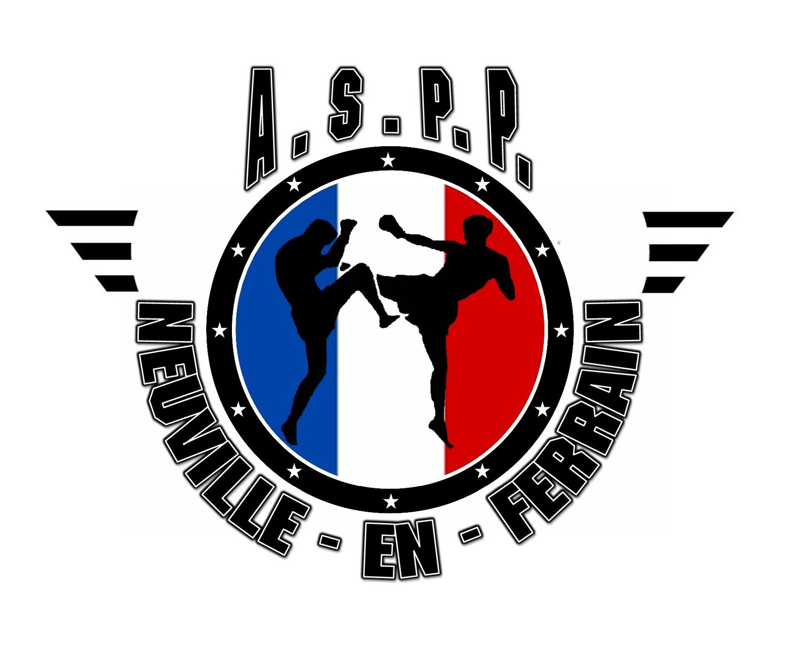ACADÉMIE DES SPORTS PIEDS POINGS